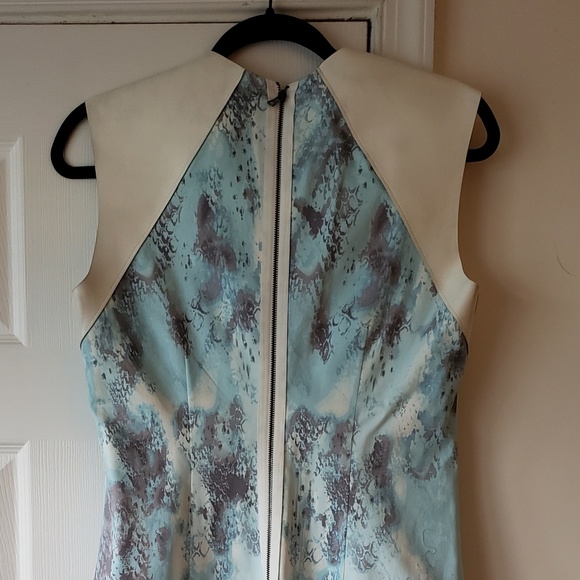 Python Dress - Picture 2 of 2